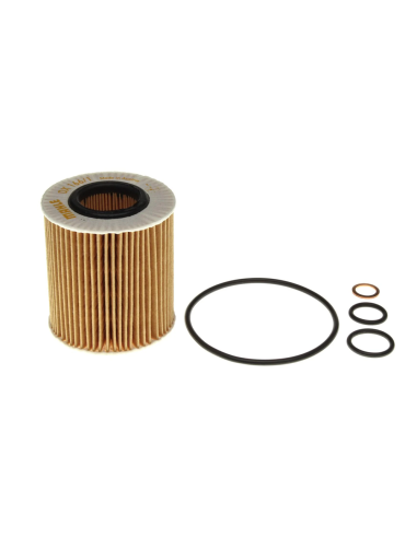 Ox166/1d Bmw 116i/118i/120i Man Hu815/2x Fram Ch9547eco Woe211