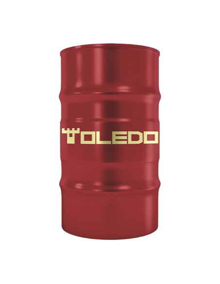 Toledo Multiviscoso V 25w60 X 205lt