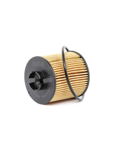 Ox341 Audi 1.6 Fsi Hu712/6x Ch9706eco Woe690